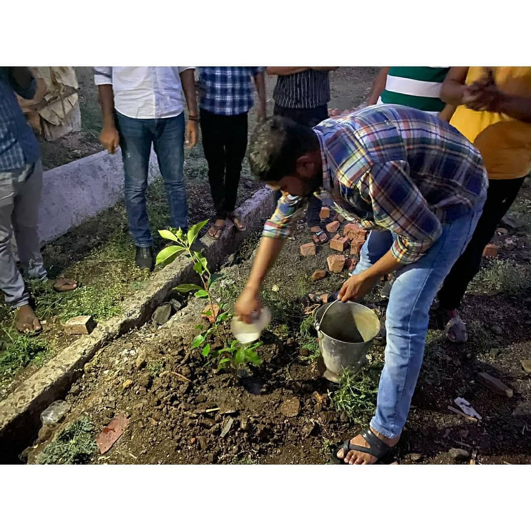 Tree Plantation Movement