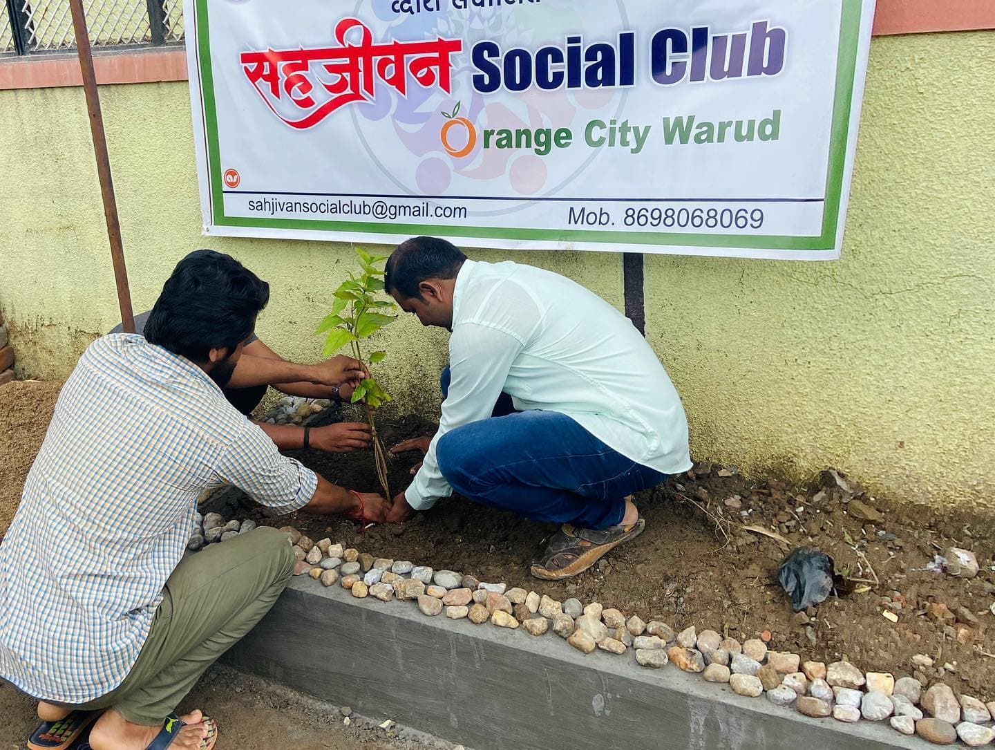School Campus Afforestation Project